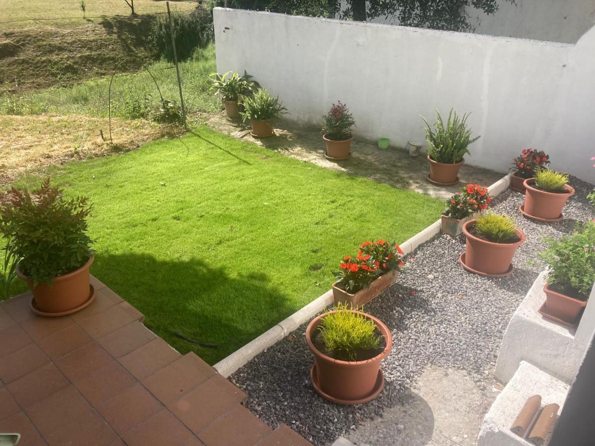Apartamento Con Jardin En El Oviedo Antiguo Esterno foto